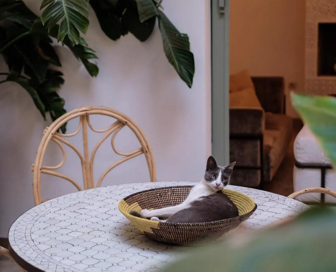 Riad Danka Marrakesh