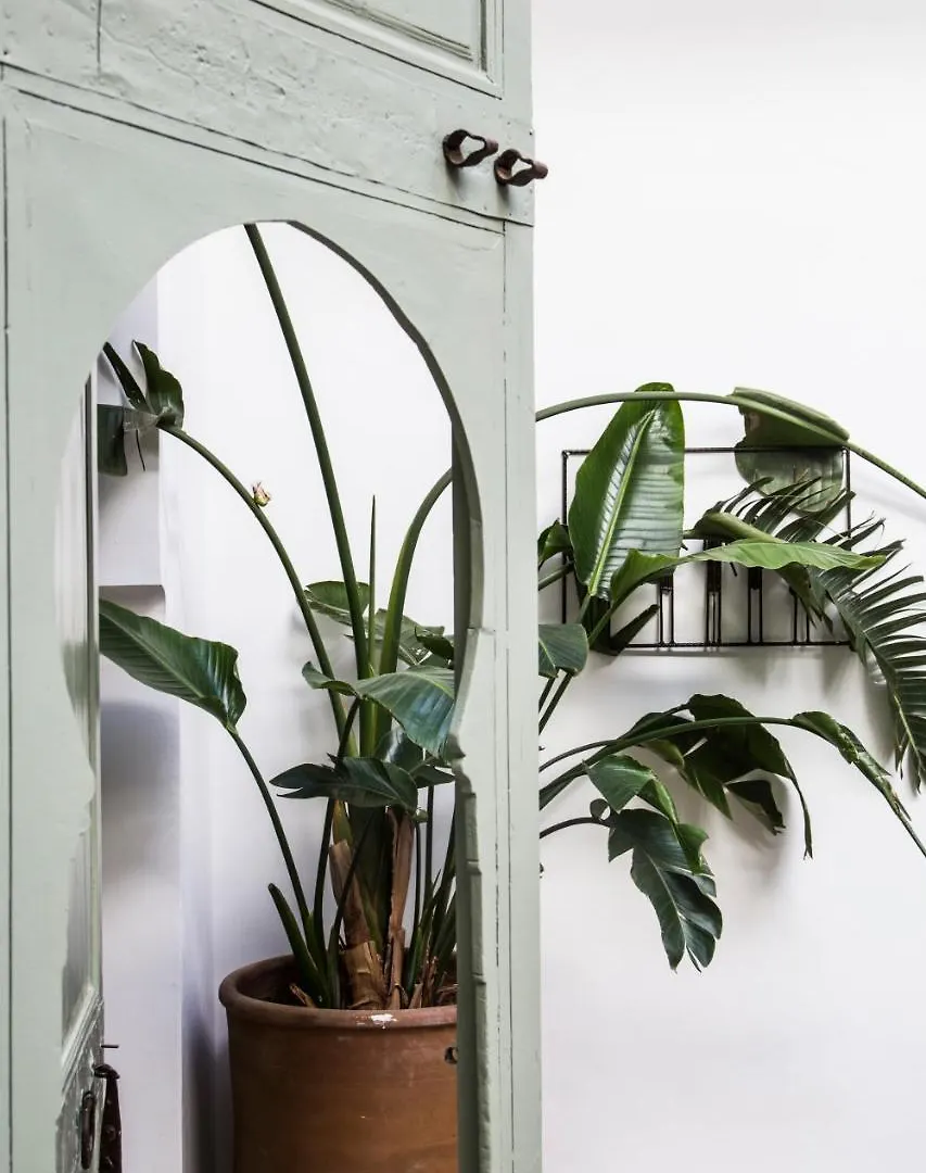 Riad Danka Marrakesh