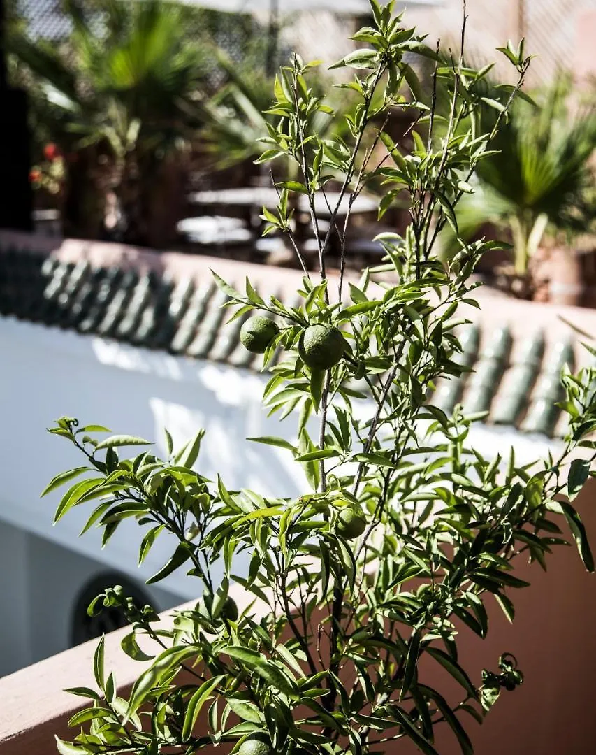 Riad Danka Marrakesh