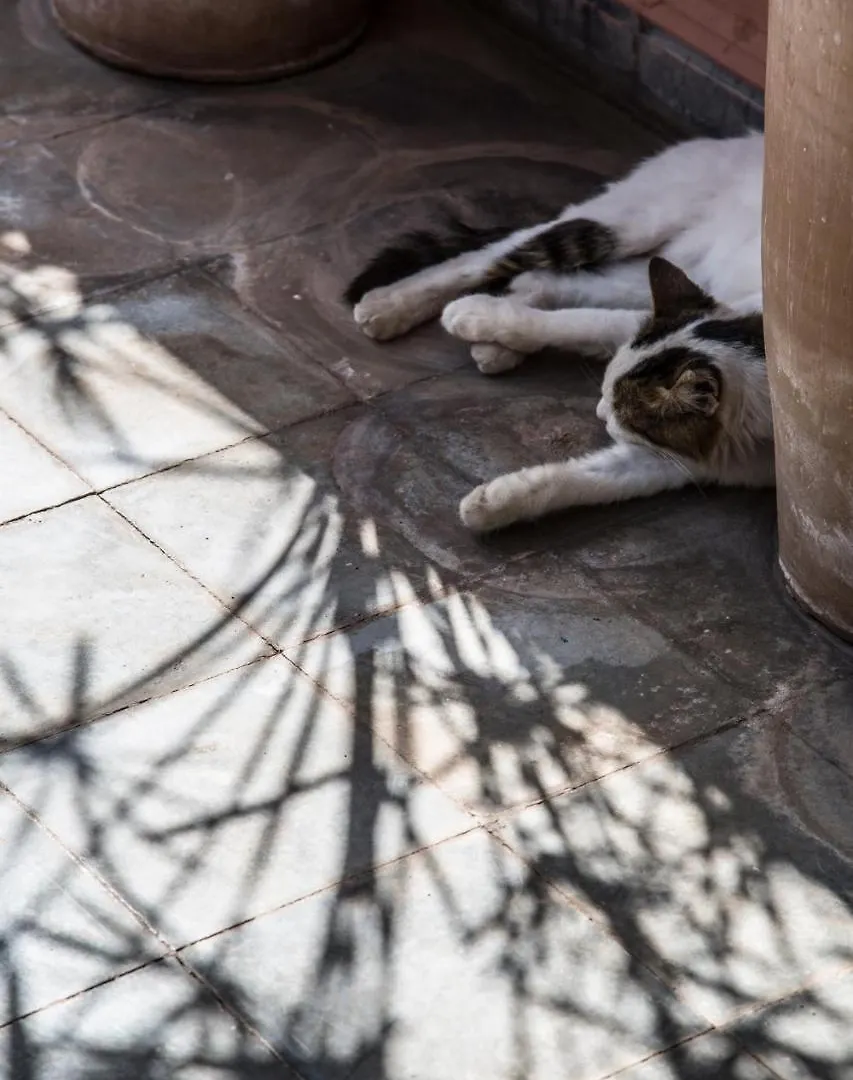 Riad Danka Marrakesh Morocco