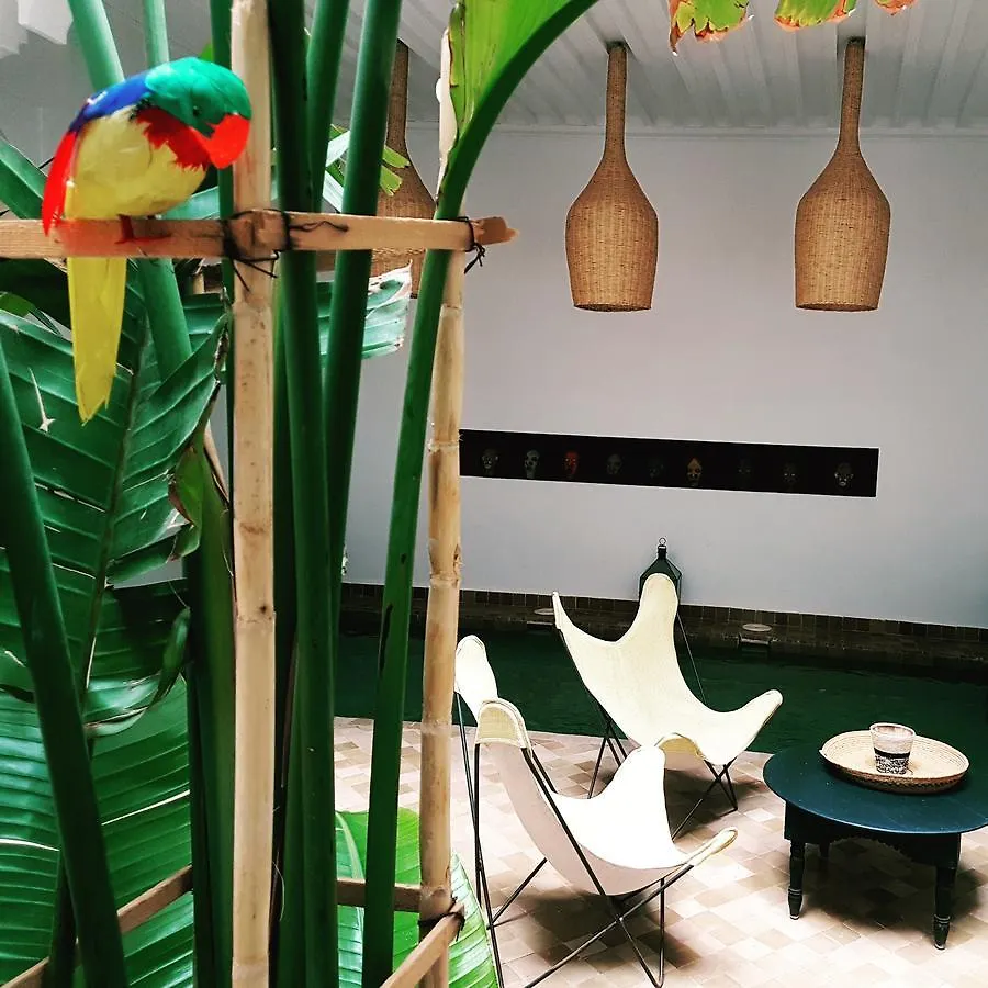 Riad Danka Marrakesz