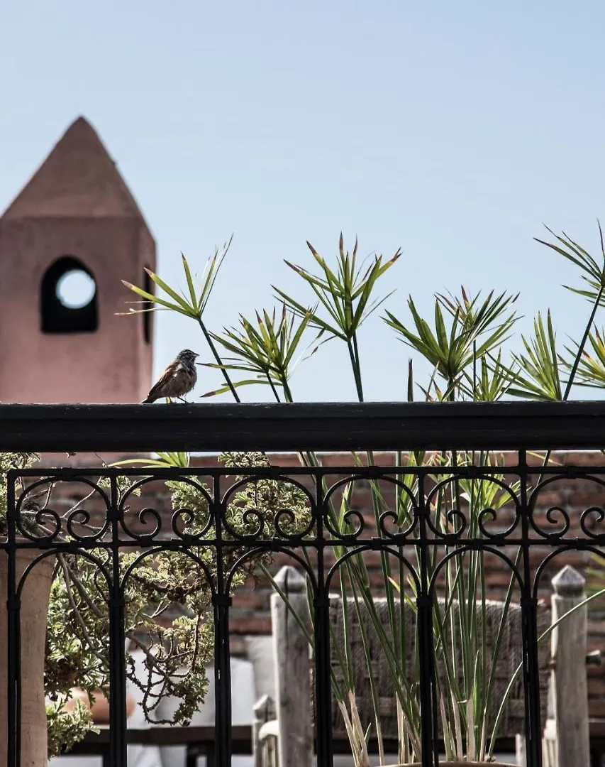 Riad Danka Marrakesz